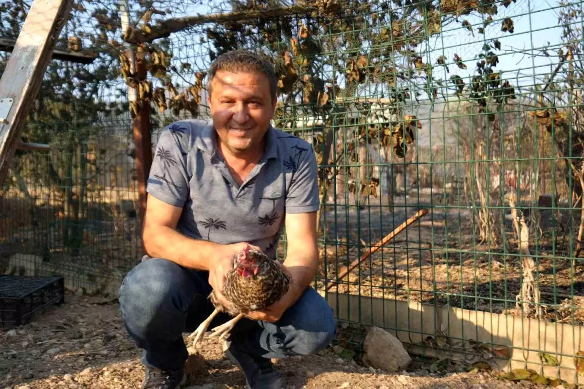 Bilecik'teki Orman Yangınında 'Umut' Dönüşü