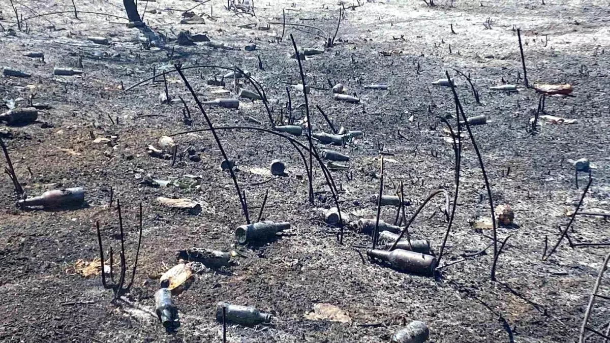 Kocaeli Kartepe'de Otluk Arazide Yangın Çıktı