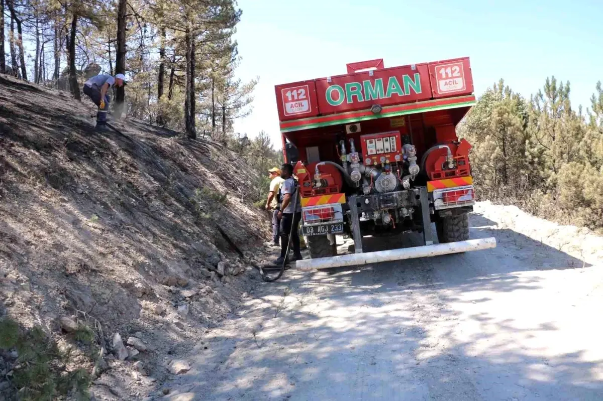Afyonkarahisar'daki Orman Yangını Kontrol Altına Alındı