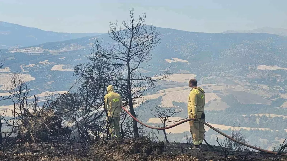 Denizli'de Yangın Korkusu: 7 Hektar Orman Zarar Gördü