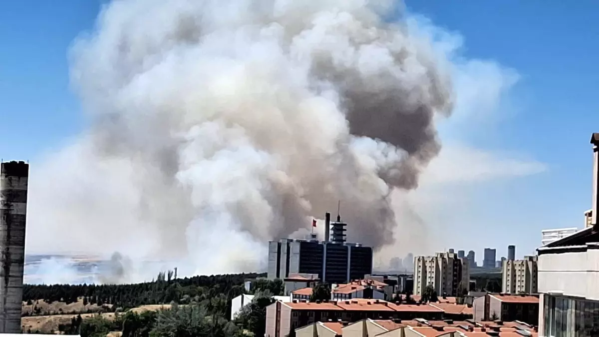Eymir Gölü Ormanında Yangın Kontrol Altına Alındı