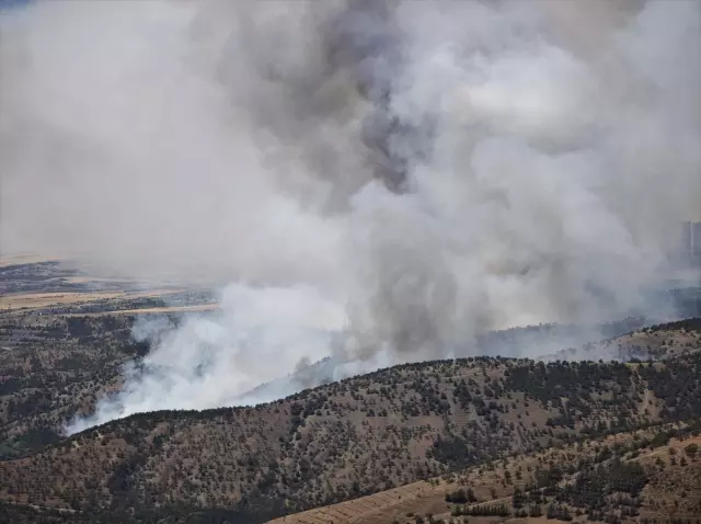 Forest fire in Ankara
