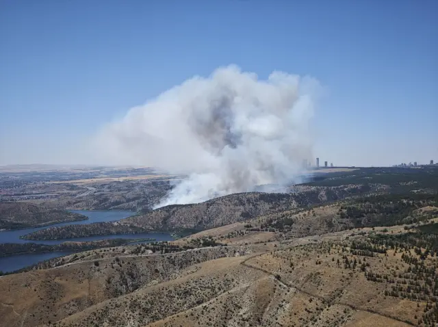 Forest fire in Ankara