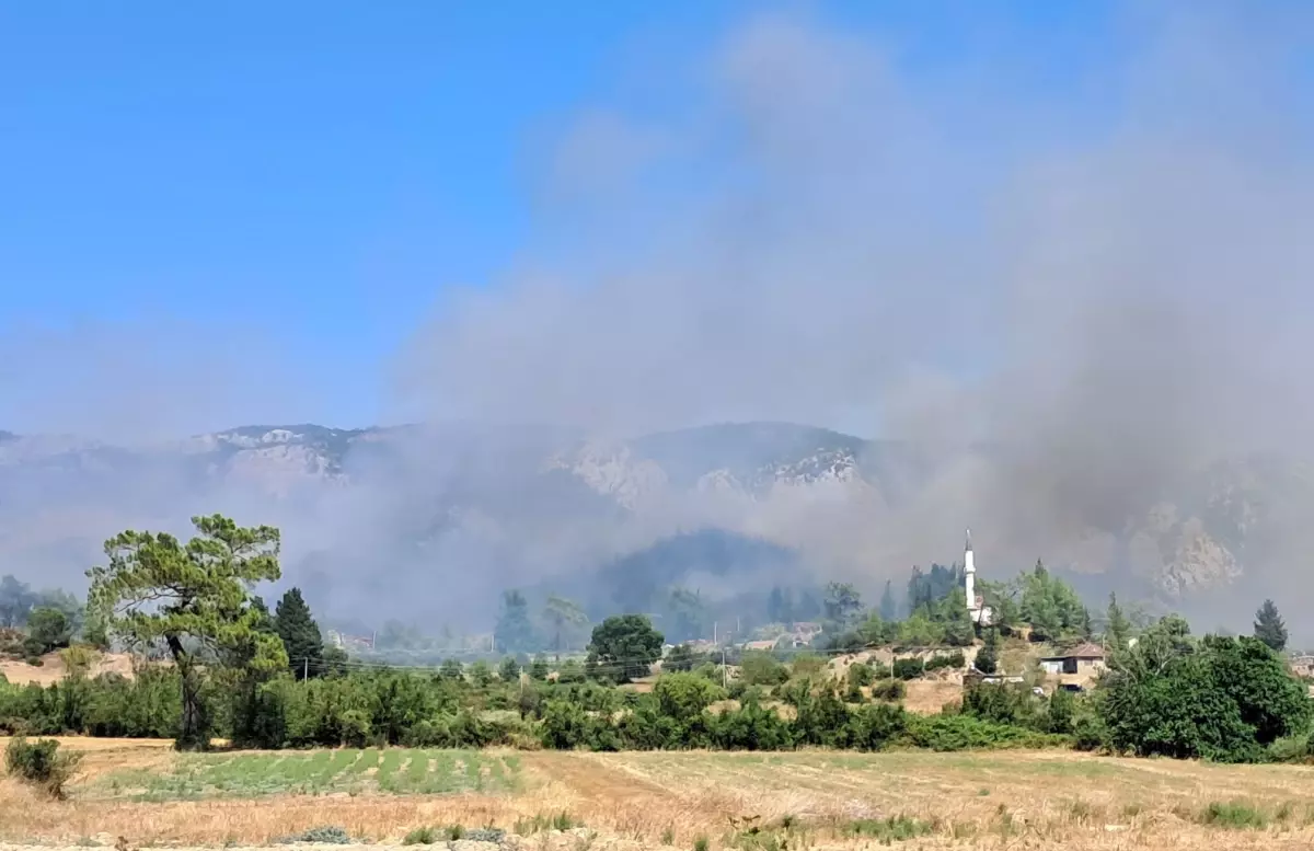 Antalya'da Orman Yangını