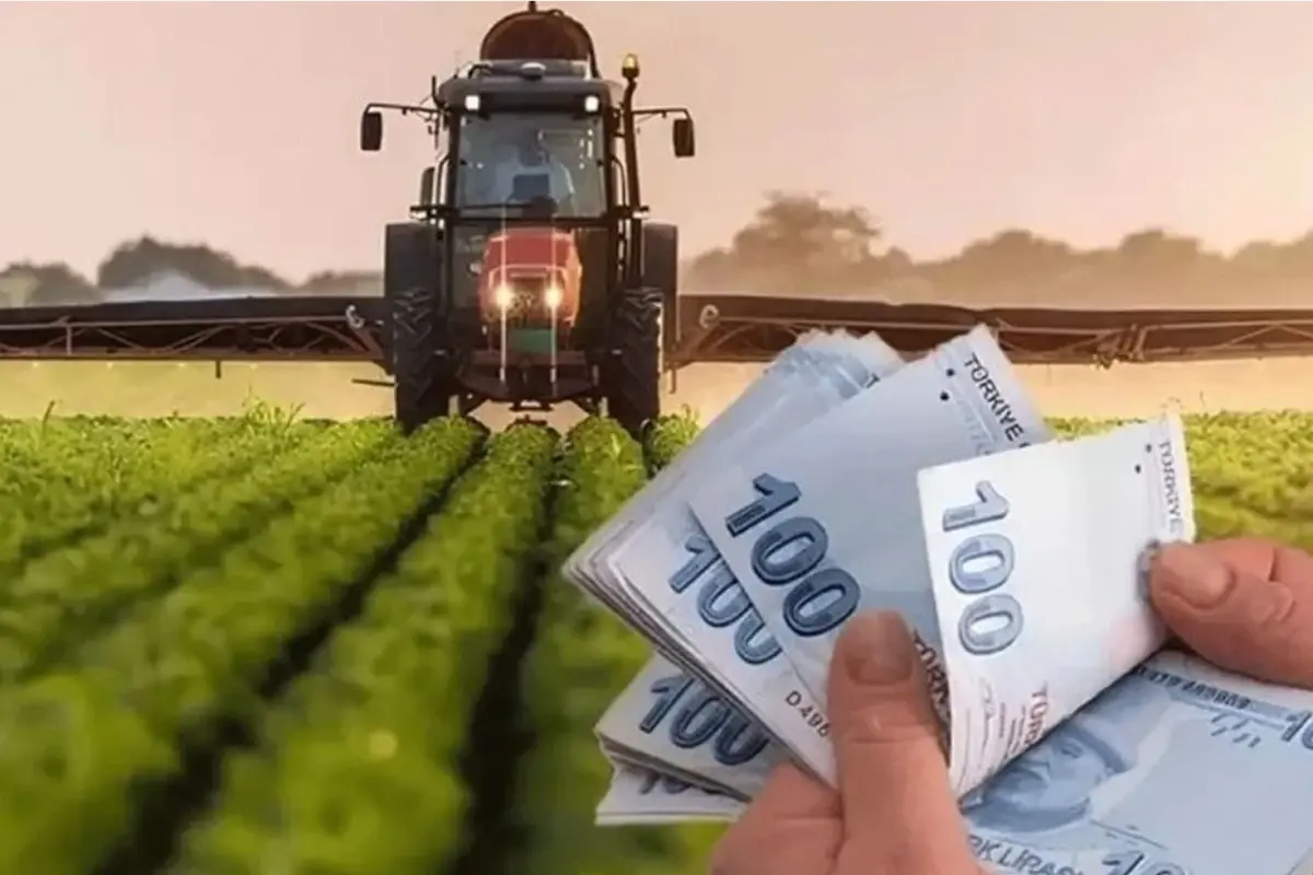 Bakanlıktan tarımda nakit destek: Çiftçiye 826 milyon TL ödeme yapıldı