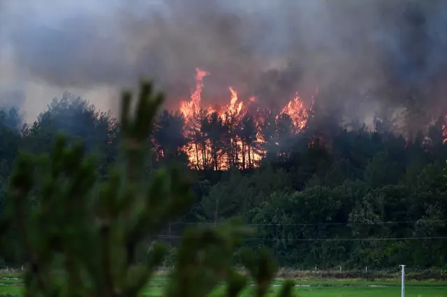 Flames are spreading rapidly in Bursa! Official vehicles narrowly escaped burning