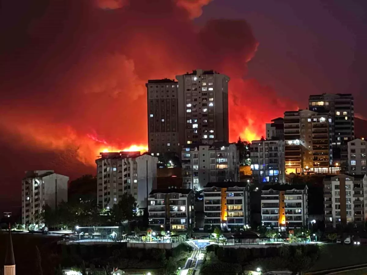 Bursa'da Orman Yangını Büyüyor, Alevler Geceyi Aydınlatıyor