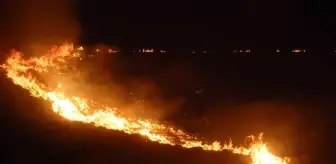 Çiftçileri yakından ilgilendiriyor! İstanbul'da orman yangınlarına karşı yeni önlem