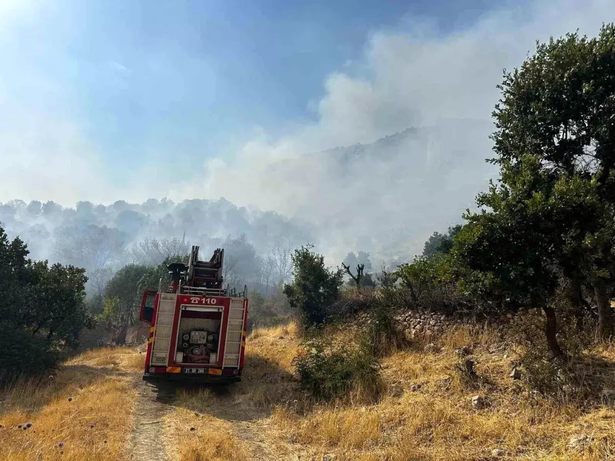 Diyarbakır'ın Lice ilçesinde orman yangınına 9 saatlik müdahale