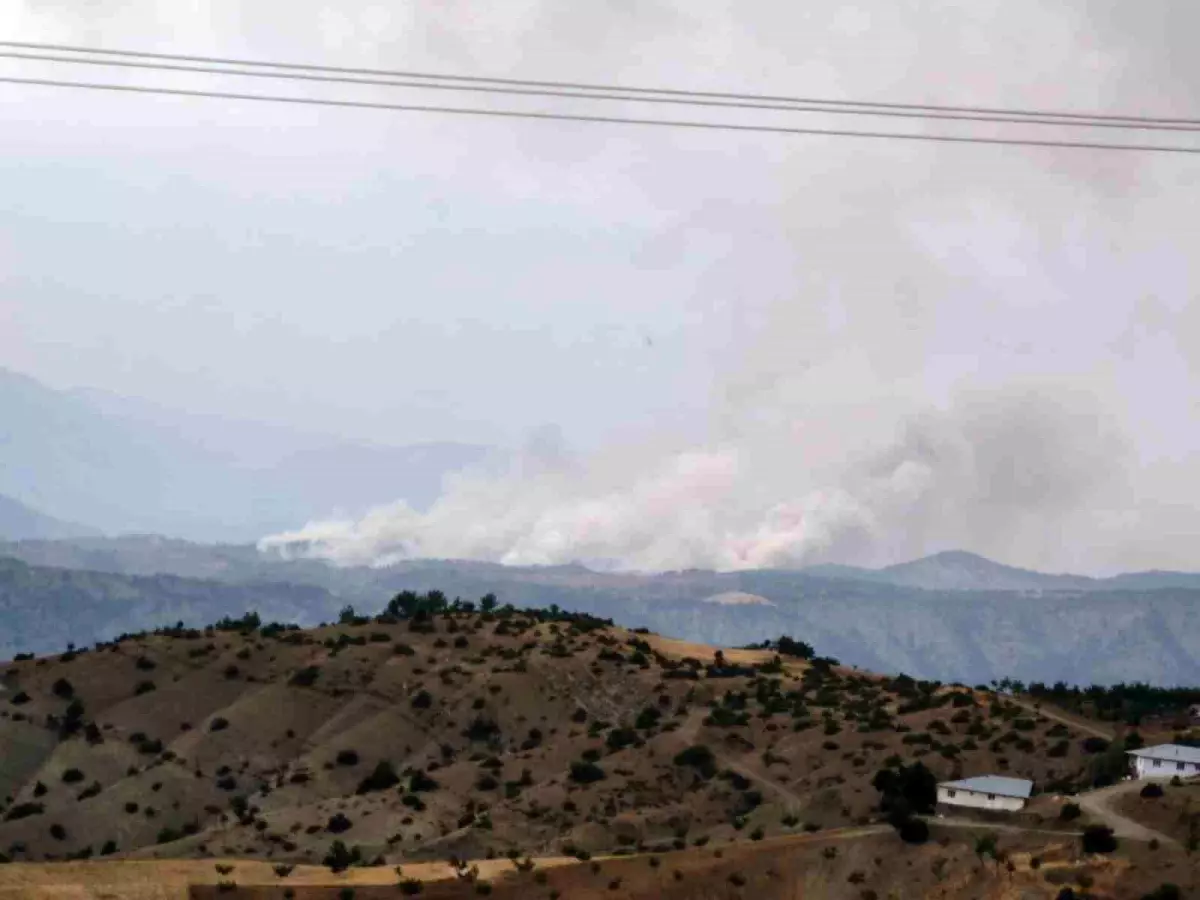 Kahramanmaraş'ta Orman Yangını