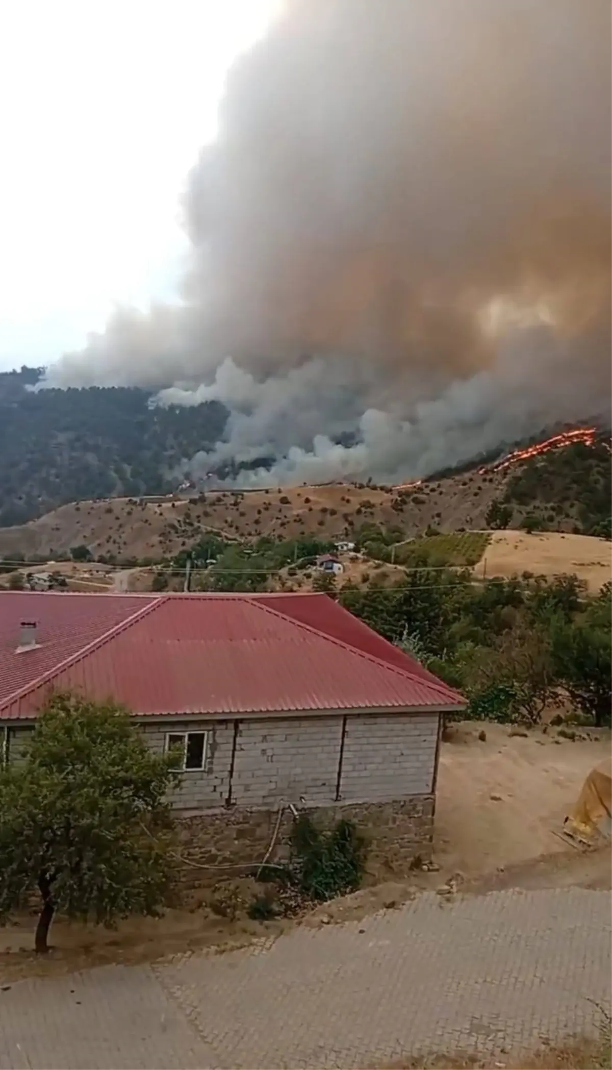 Kahramanmaraş'ta Orman Yangını Çıktı