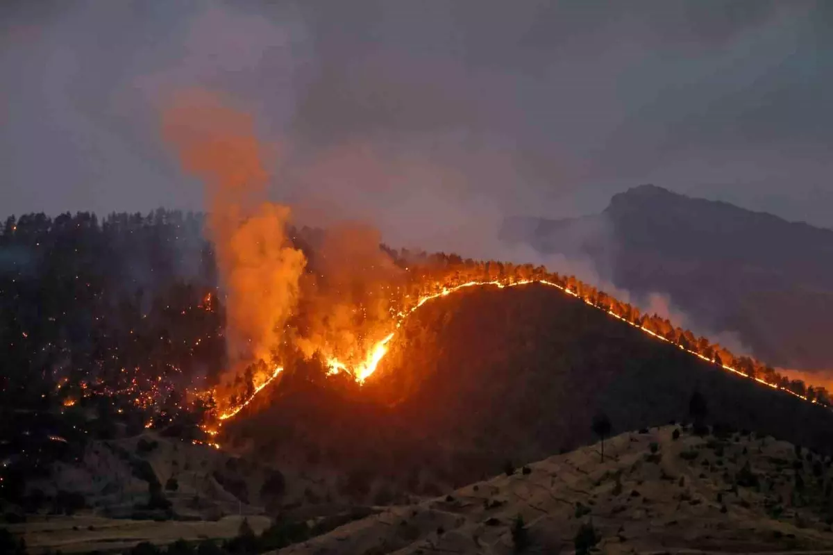 Kahramanmaraş'ta Orman Yangınına Müdahale Devam Ediyor