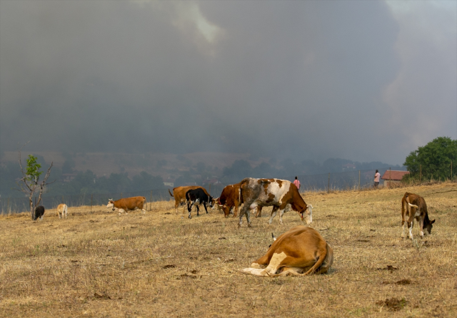 The forest fire in Karabük intensified on the 4th day! Villages are being evacuated one by one