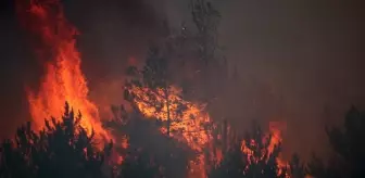 Karabük'te orman yangını 4. gününde şiddetlendi! Köyler bir bir boşaltılıyor