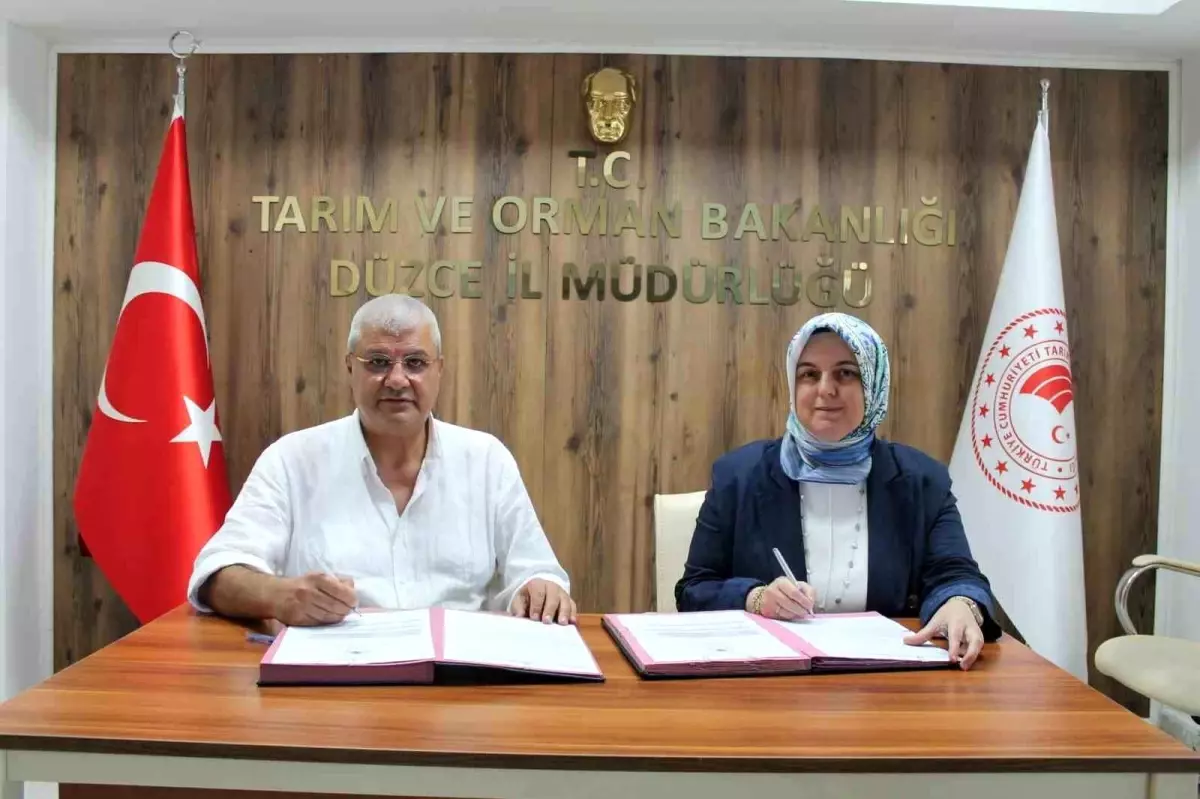 Düzce'de Fındık İşletme Tesisine 7,6 Milyon Lira Hibe