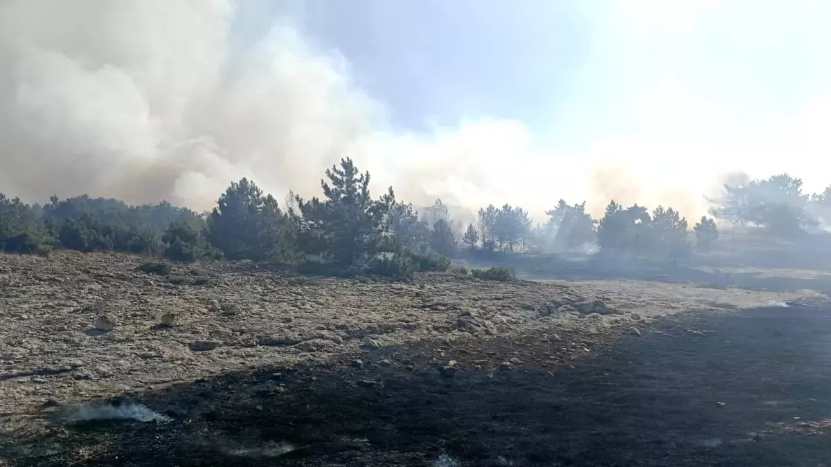 Kütahya'da Orman Yangını Kontrol Altına Alındı
