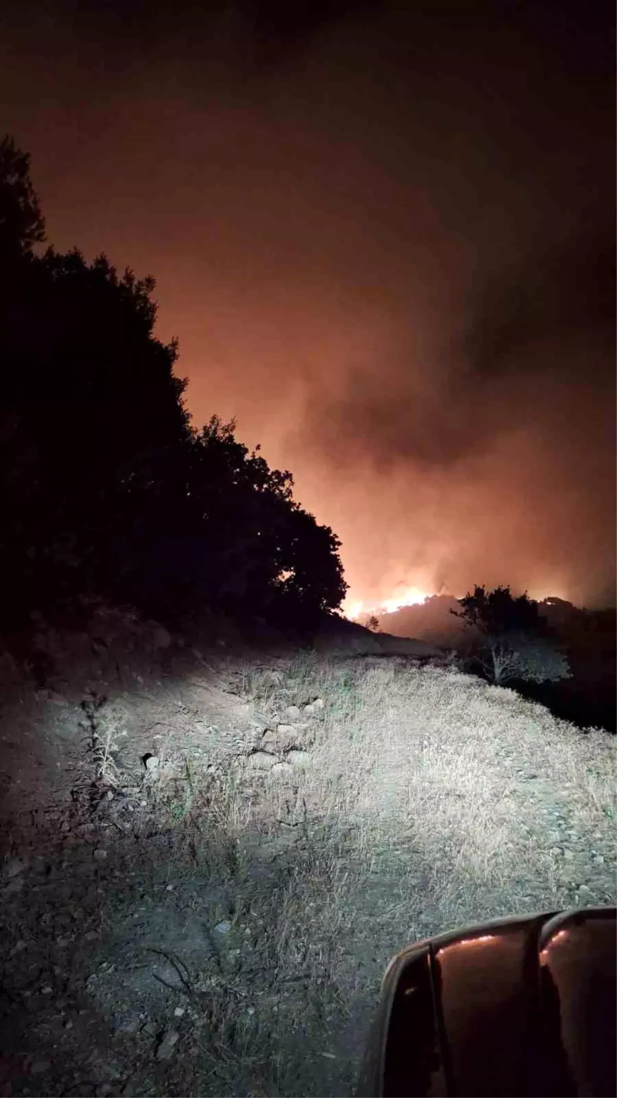 Manisa'da Orman Yangınına Hızlı Müdahale Başladı