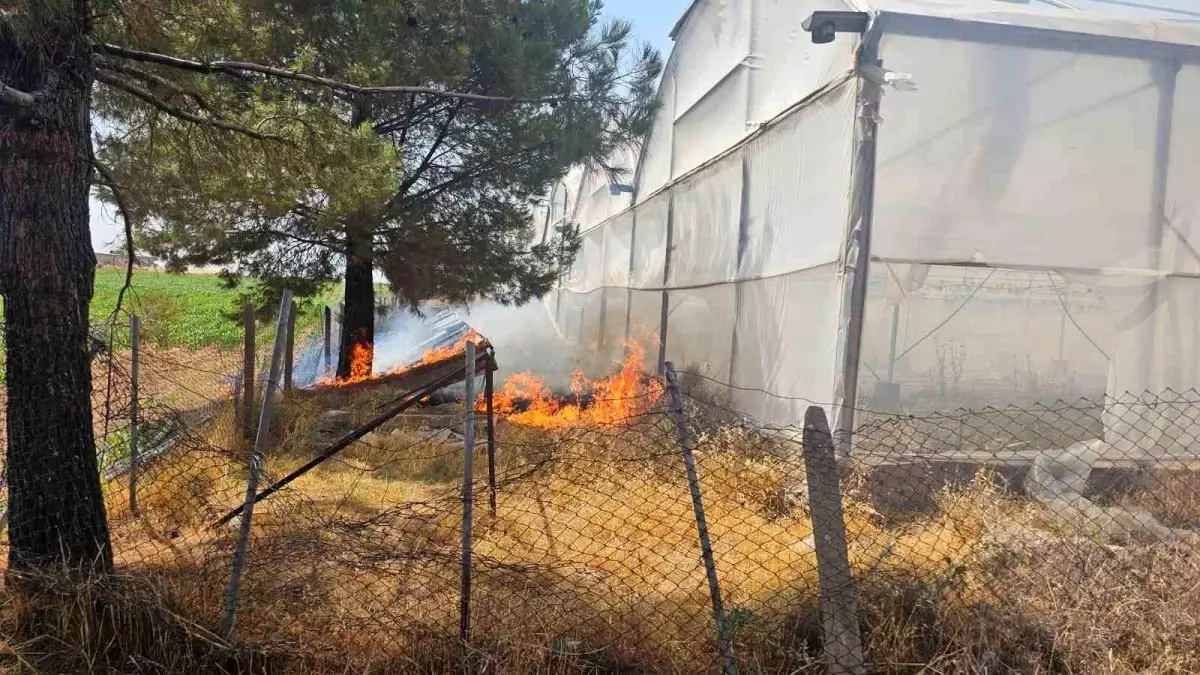 Mardin'de Sera Yakınındaki Yangın Kontrol Altına Alındı