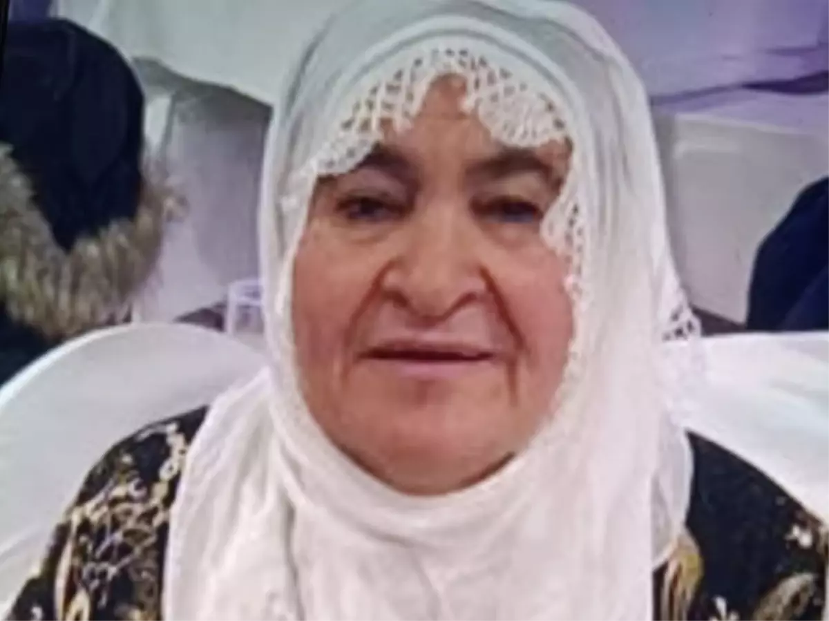Almanya'dan Nusaybin'e Gelen Yaşlı Kadın Evinde Ölü Bulundu