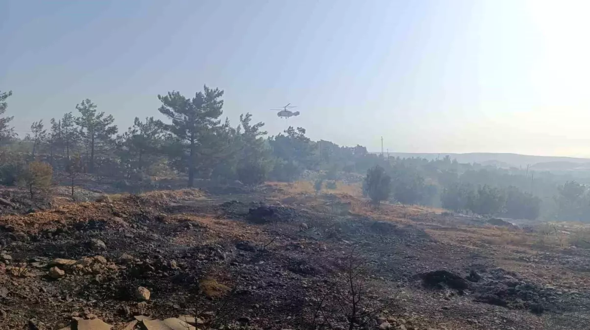 Mersin'de Orman Yangınına Havanın ve Karada Müdahale Başladı