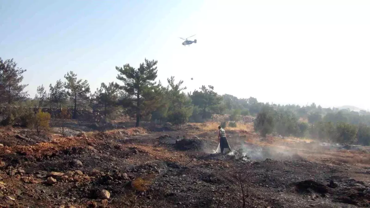 Mersin'de Orman Yangını: Havadan ve Karadan Müdahale Devam Ediyor