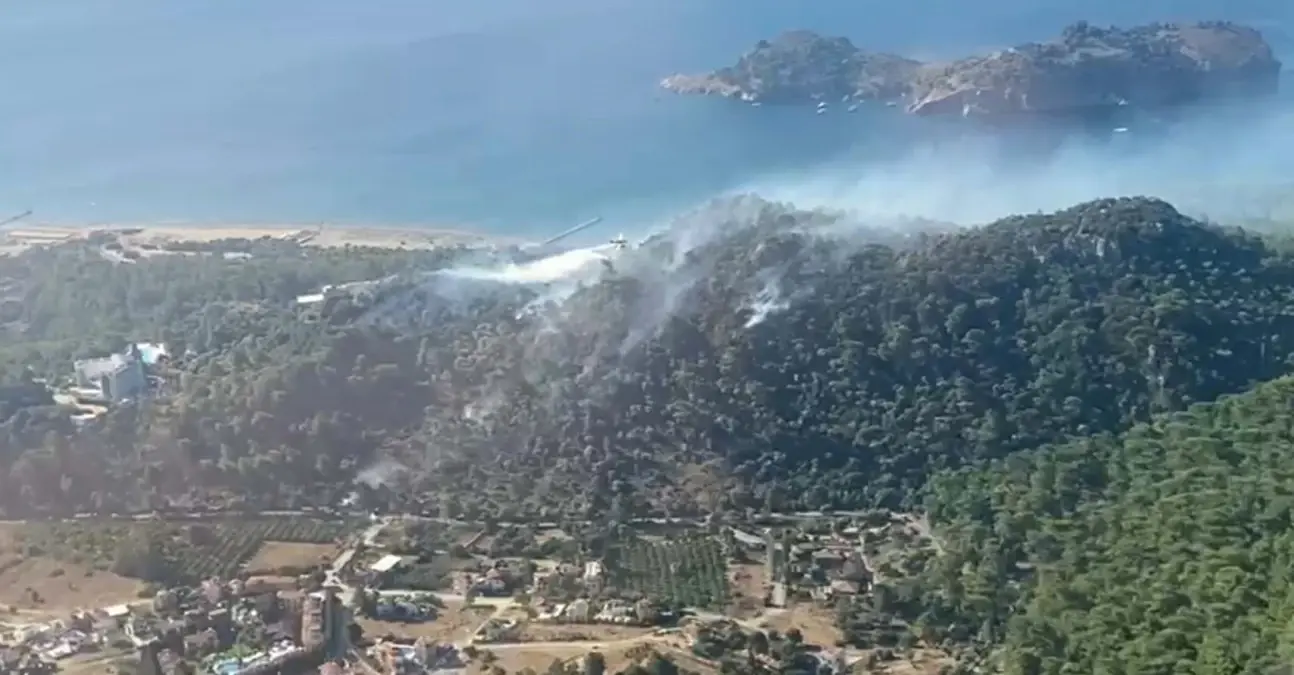 Muğla'da Tarım Arazisinde Çıkan Yangın Ormana Sıçradı