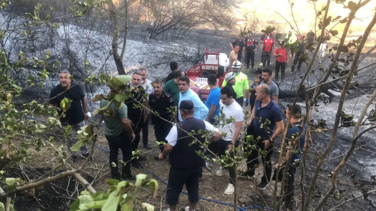 Sakarya'daki Orman Yangını Kontrol Altına Alındı