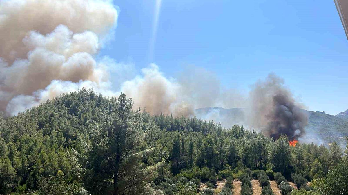Antalya'nın Serik İlçesinde Orman Yangını