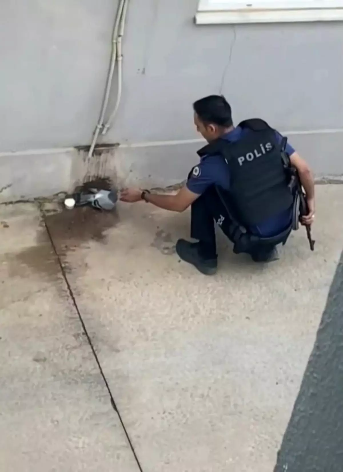 Polis Memurundan Merhamet Dolu An: Bitkin Güvercine Su Verdi