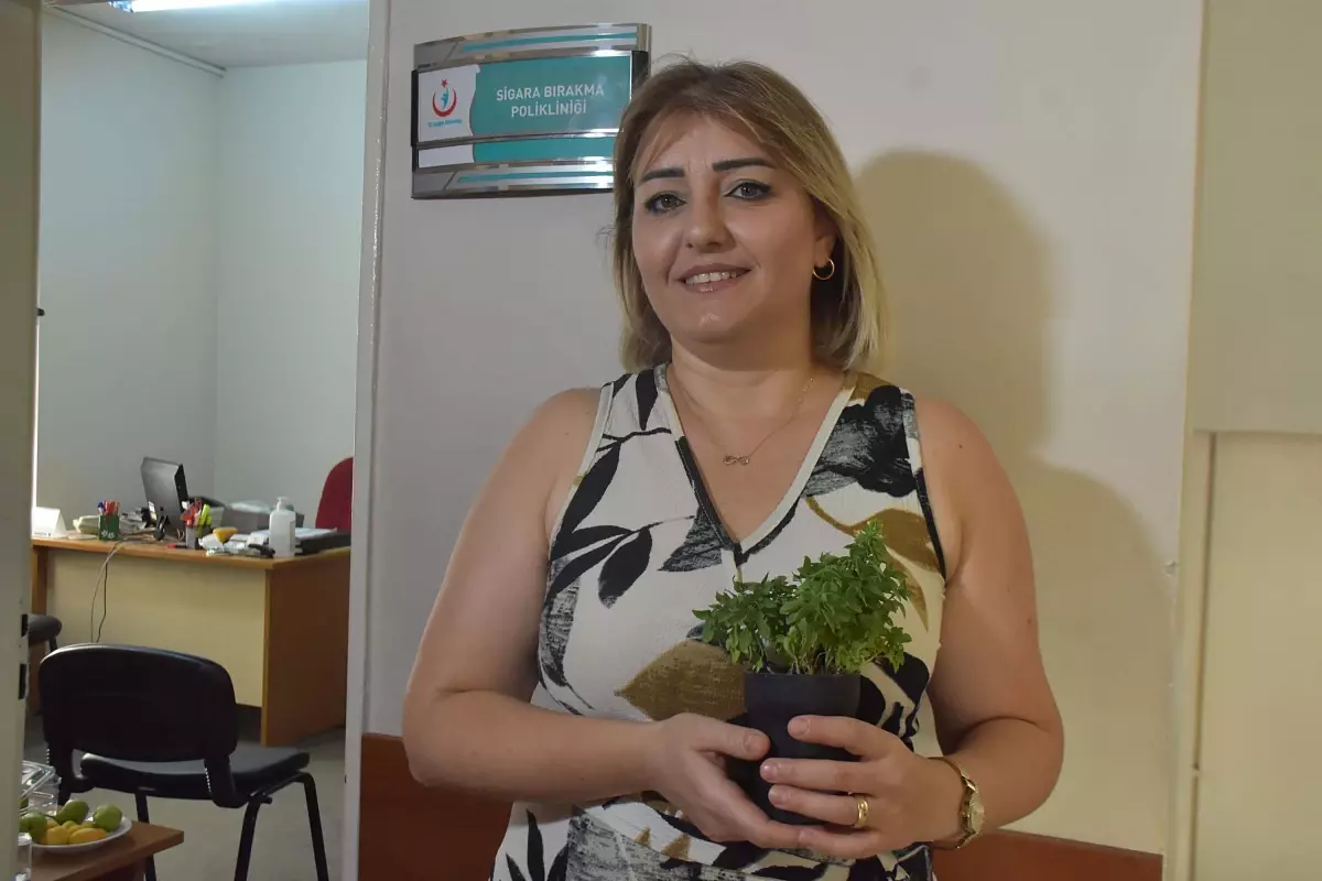 Sigara Bırakan Kadından Fesleğen Saksısı