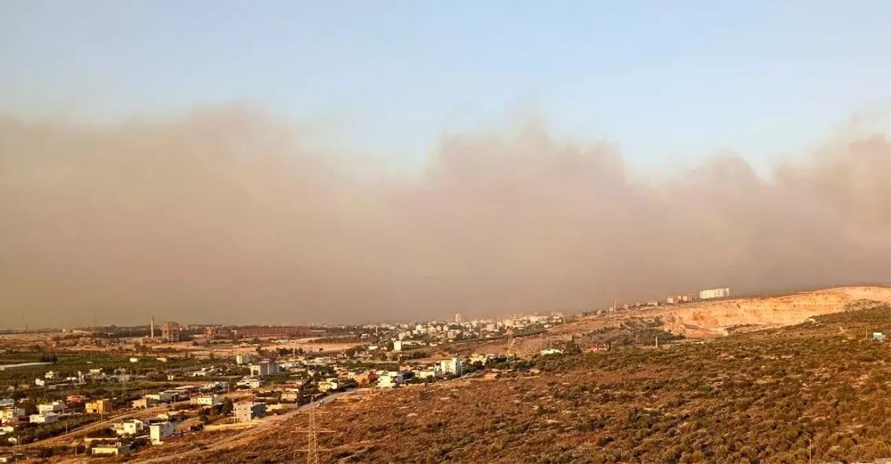 Mersin'de Orman Yangını Çıktı