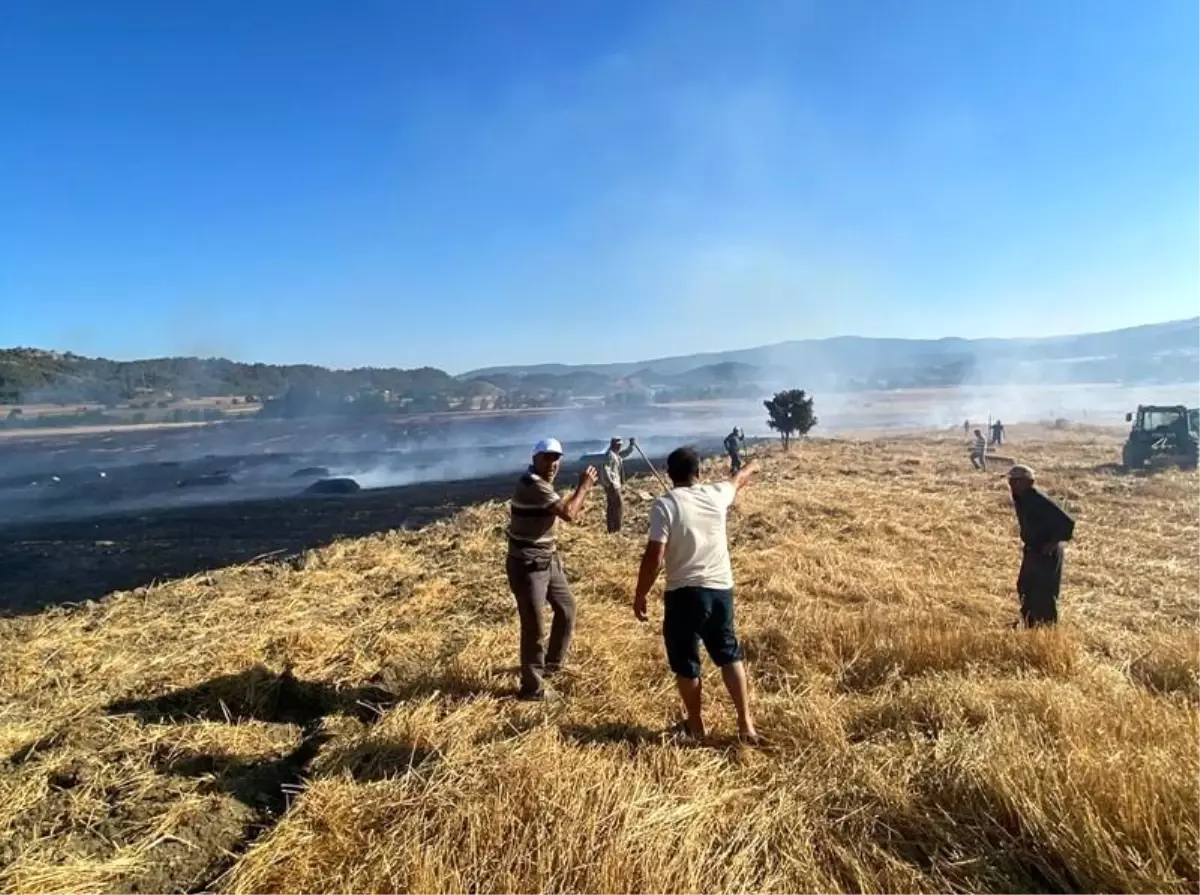 Sinop'ta Anız Yangını: 60 Balya Saman Kül Oldu