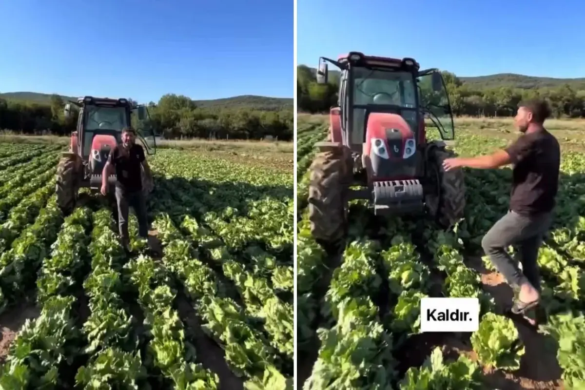 Tarlasındaki ürüne teklif edilen fiyat üreticiyi isyan ettirdi: Markette 30 TL'ye satıyorlar