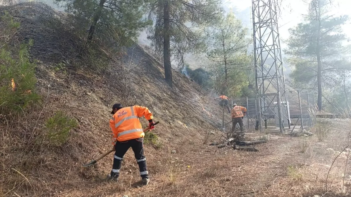 TCDD, Orman Yangınlarına Karşı Ulaşım Güvenliğini Sağlıyor