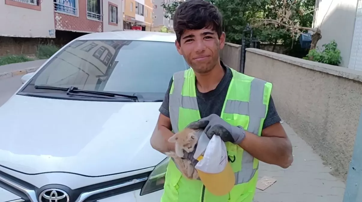 Temizlik Görevlisi, Sıkışan Yavru Kediyi Kurtardı