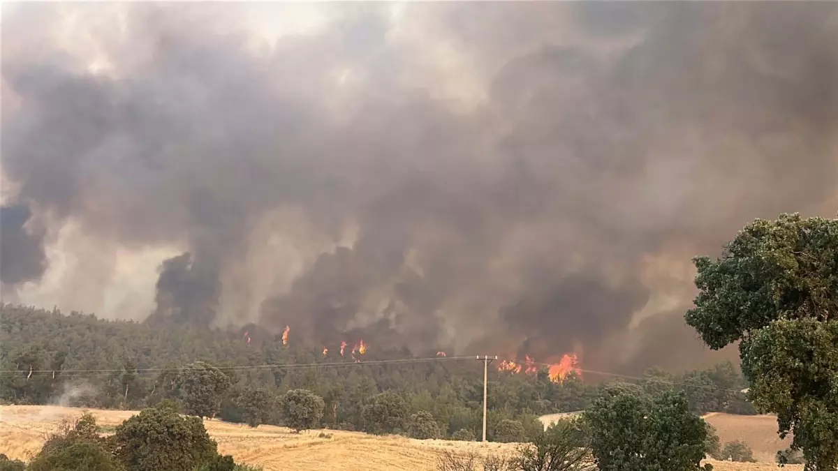 Uşak'taki Yangına Hava ve Kara Müdahalesi Devam Ediyor