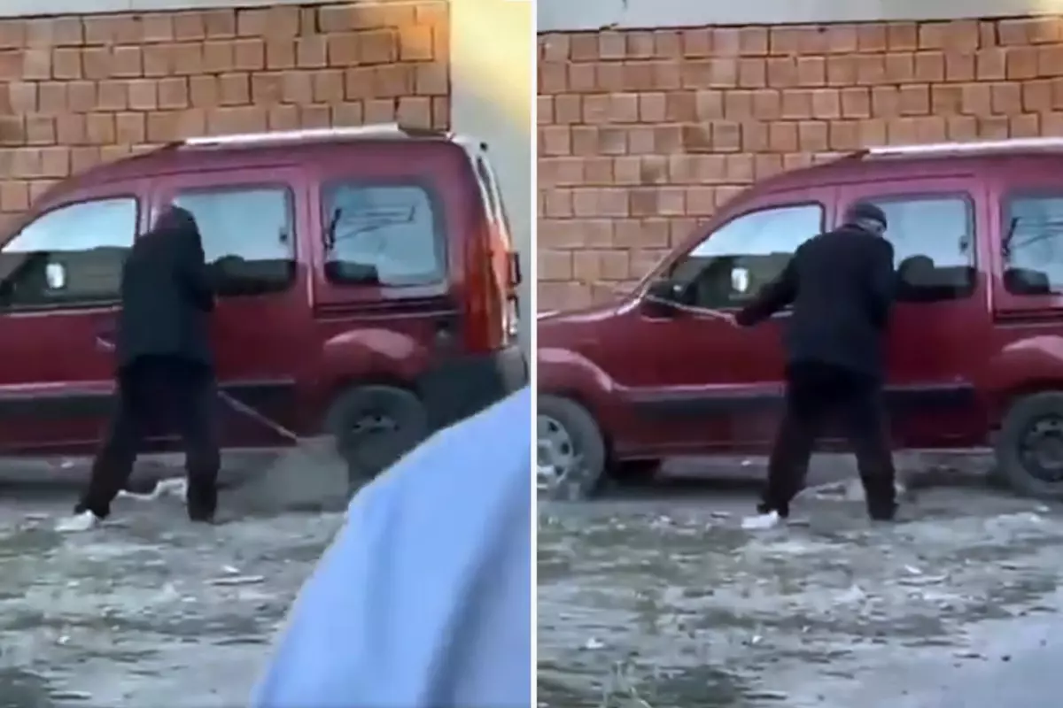 Yavru köpeğe sopayla defalarca vurdu