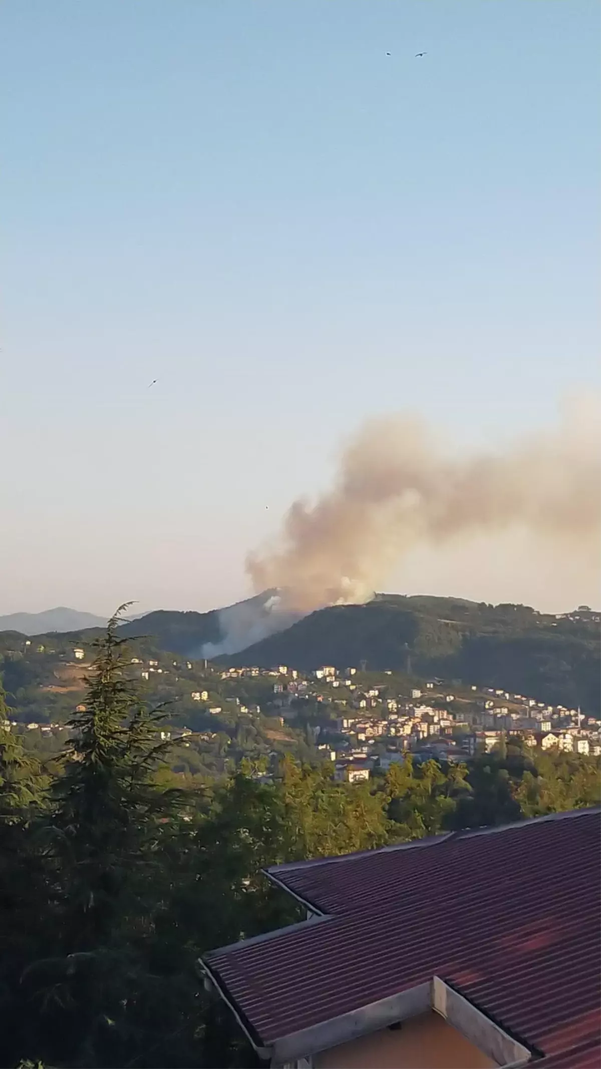 Zonguldak'ta Orman Yangını Kontrol Altına Alındı