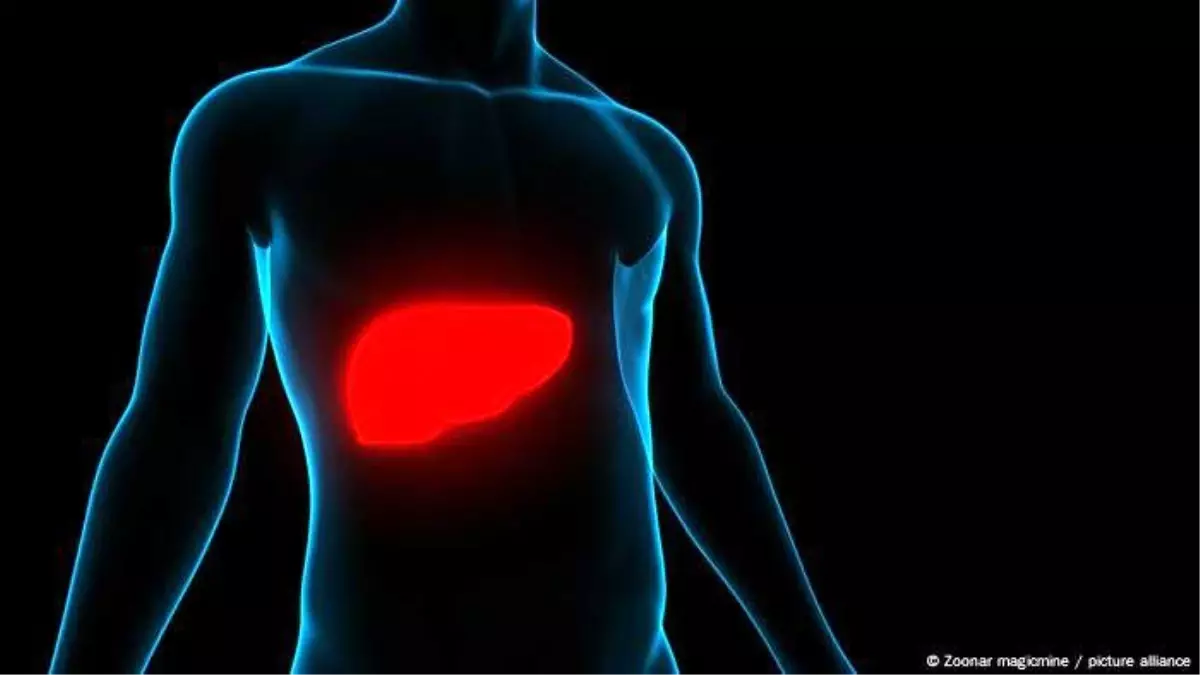 Hepatit Türleri ve Tedavi Yöntemleri