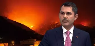 Bakan Murat Kurum: Orman yangınlarında toplam 104 yapının ağır hasarlı ya da yıkık