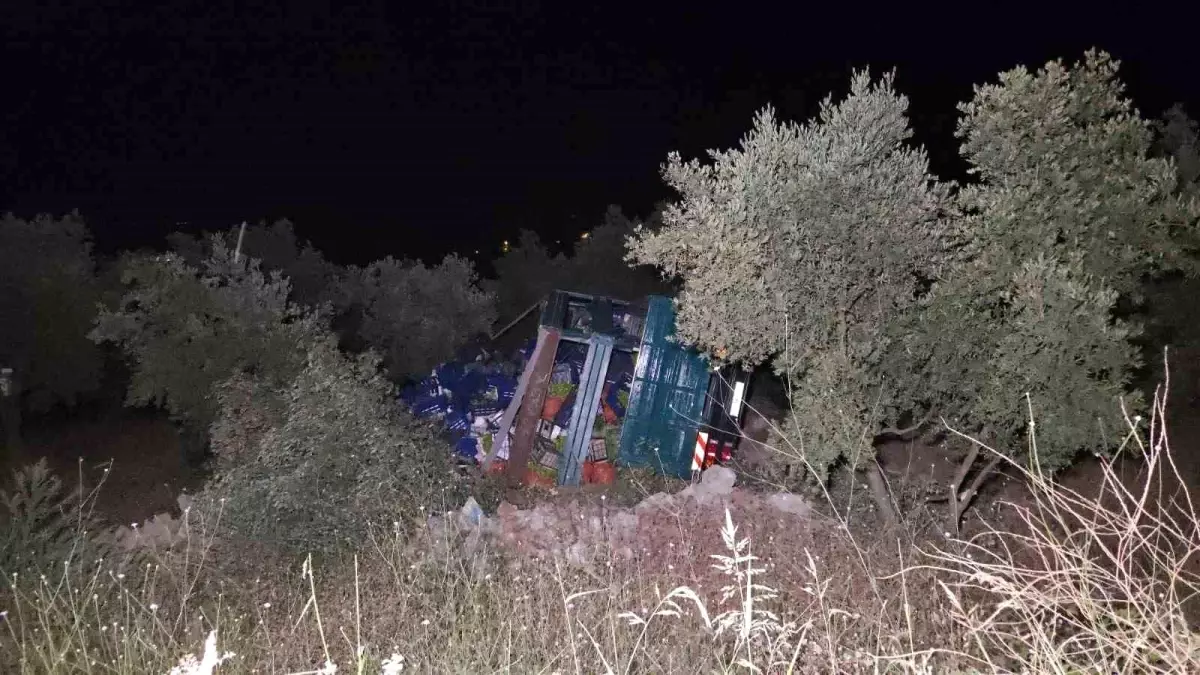 Bursa'da Biber Yüklü Kamyon Zeytinliğe Uçtu: Sürücü Yaralandı