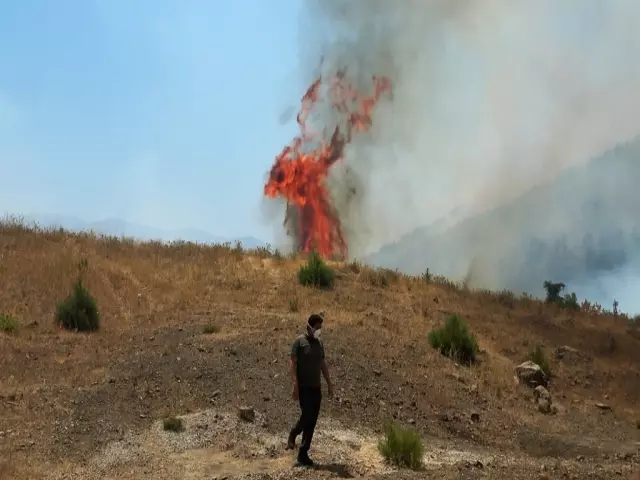 Bursa is surrendered to the flames! Another sad news came from the fire area
