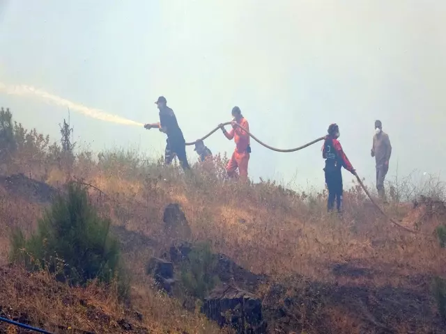 Bursa is surrendered to the flames! Another sad news came from the fire area