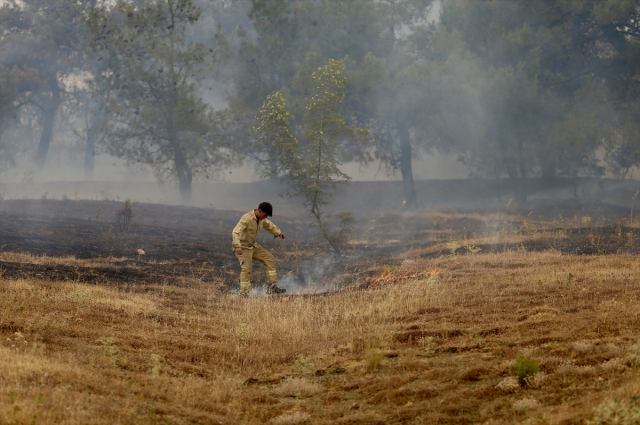 The flames have reignited in Bursa! 1765 people were evacuated, a call for help is being made via announcement