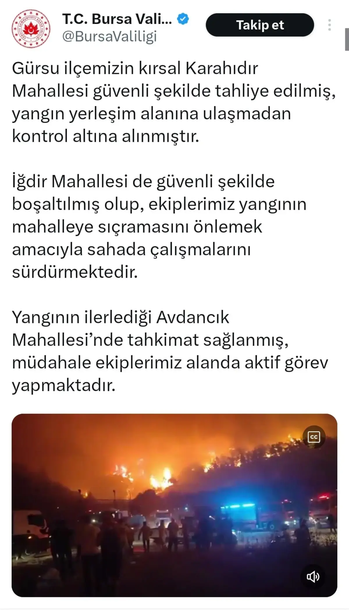 Bursa'da Orman Yangını Avdancık Mahallesi'ne Yaklaşıyor