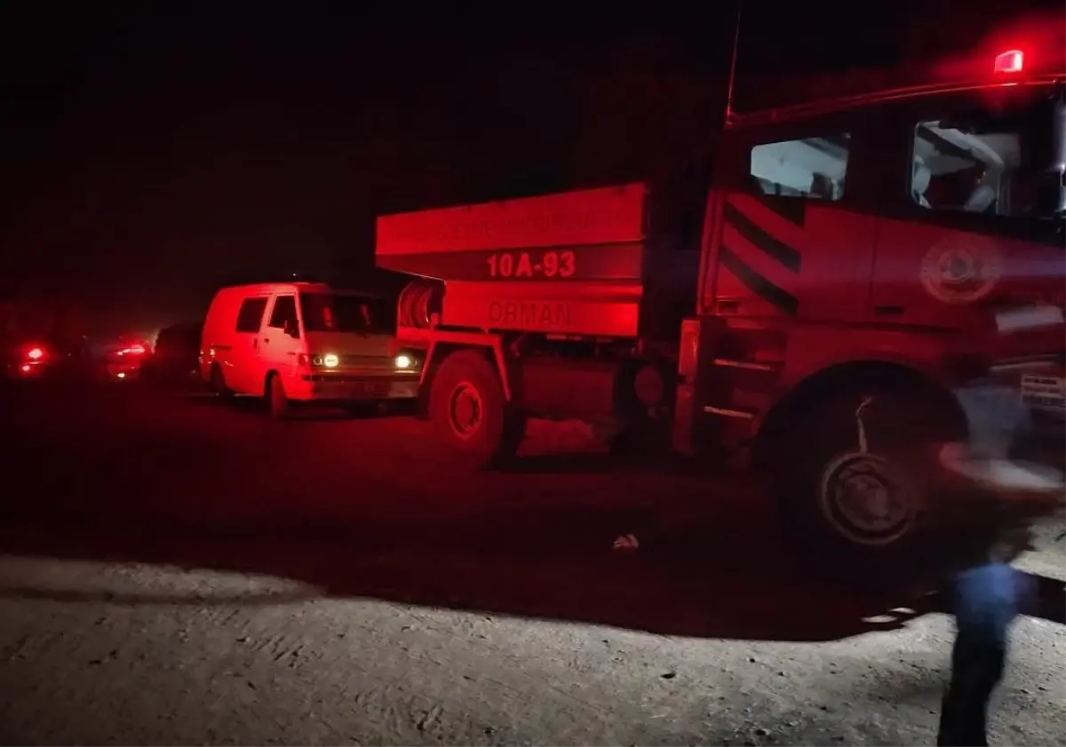 Bursa'da Orman Yangını Nedeniyle 1765 Kişi Tahliye Edildi