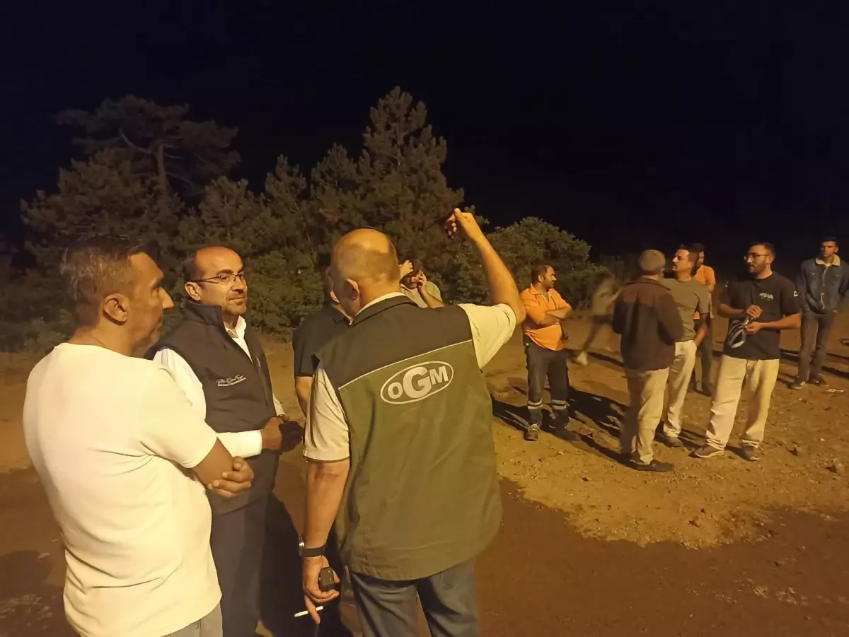 Orhaneli'deki Orman Yangını Kontrol Altına Alındı