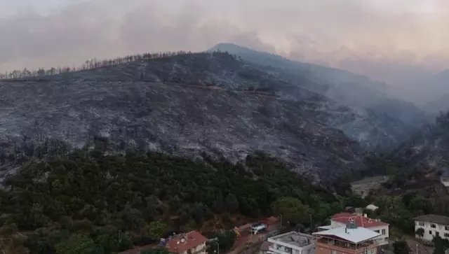 A Woman Caught Among the Flames in the Forest Fire in Bursa