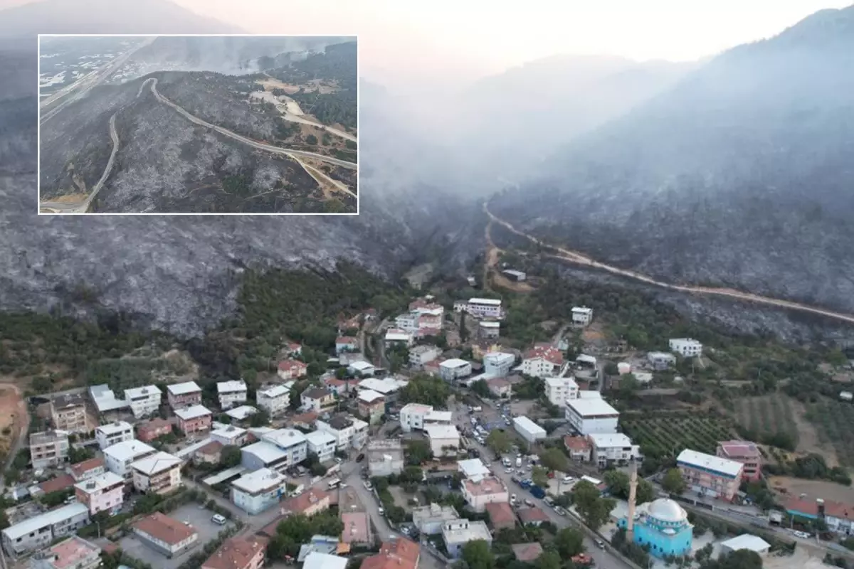 Obsežen gozdni požar v Bursi povzročil veliko škodo