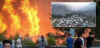 Bursa'daki orman yangınında yaşanan tahribat gün ağarınca ortaya çıktı